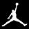 Nike Air Jordan Black and White Logo