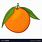 Orange Fruit Animated