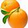 Orange Fruit PNG