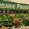 Organic Farm Products