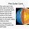 Outer Core Facts
