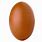 Oval Egg