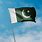 Pakistan Independence Day Flag