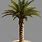 Palm Tree Model