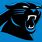 Panthers Old Logo