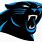 Panthers Team Logo