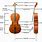 Parts of a Cello