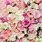 Pastel Floral Wallpaper HD