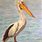 Pelican Art