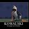 Penguins of Madagascar Meme Kowalski