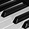 Piano Keyboard Black and White