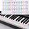 Piano Keyboard Notes Stickers