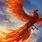 Picture Mythical Phoenix Bird