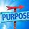 Picture of Purpose