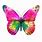 Picture of a Pink Butterfly