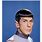 Pictures of Mr. Spock