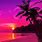 Pink Beach Sunset Background