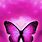 Pink Purple Butterfly