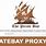 Pirate Bay Proxies