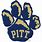 Pitt Panther Paw