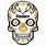 Pittsburgh Steelers Skull Logo