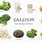 Plant Foods High in Calcium