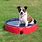 Plastic Pools for Dogs