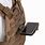 Plate Carrier Phone Mount