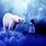 Polar Bear and Girl