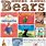 Preschool Bear Books