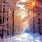 Pretty Winter Wallpaper