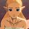 Princess Zelda Age of Calamity
