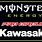 Pro Circuit Kawasaki Logo