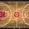 Professional Basketball Court