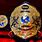 Professional Wrestling Championship Belts
