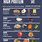 Protein Diet Chart