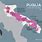 Puglia Wine Map