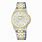 Pulsar Watches for Women
