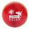 Puma Cricket Ball