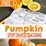 Pumpkin Investigation Preschool