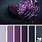 Purple Black Color Palette