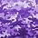 Purple Camo Texture