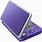 Purple DS