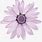 Purple Daisy Flower Drawing
