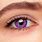 Purple Eye Contact Lenses