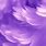 Purple Feather Background