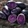 Purple Potato Varieties