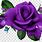 Purple Rose Flower PNG