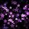 Purple Star Wallpaper 4K