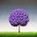 Purple Tree Art